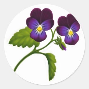 Lila Viola Pansy Blume Runder Aufkleber
