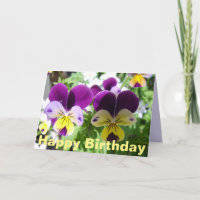 Lila Viola Pansy Hübsche Blume Blumenkarte