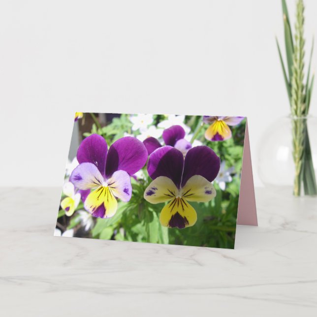 Lila Viola Pansy Hübsche Blume Blumenkarte Karte (Vorderseite)