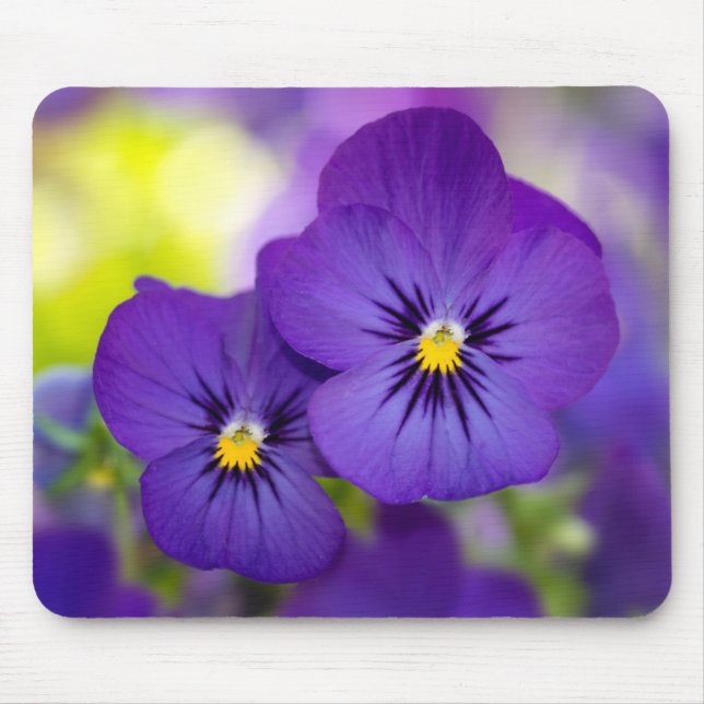 Lila Violas Mousepad (Vorne)
