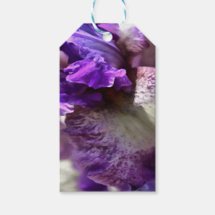 Lila, Violet und Mauve Iris Abstrakt Geschenkanhänger
