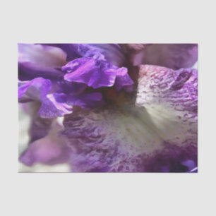 Lila, Violet und Mauve Iris Abstrakt Seidenpapier