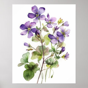 Lila Violett-Blume Art Print Poster