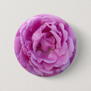 Lila Violett-Blume-Rose Button