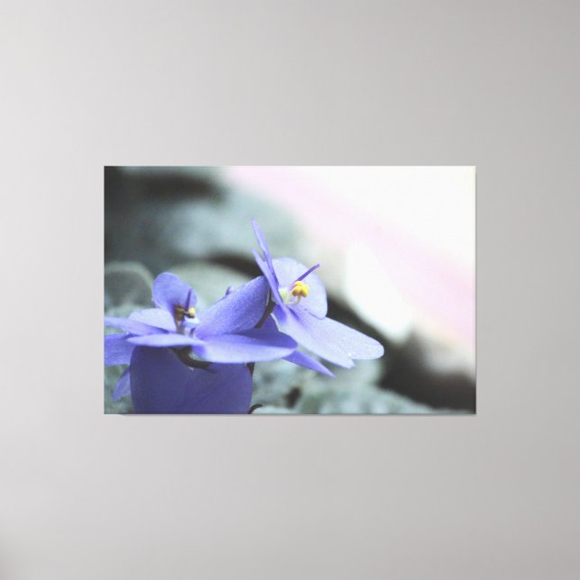 Lila Violett-Leinwand Leinwanddruck (Vorderseite)