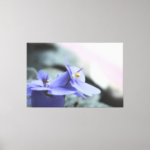 Lila Violett-Leinwand Leinwanddruck