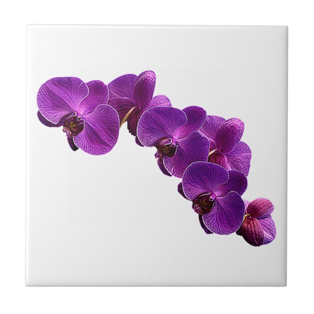 Lila Violett Orchid Blume Fliese (Vorderseite)