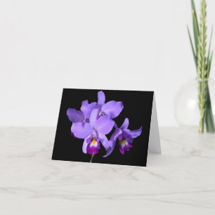 Lila violette Auberginen-Orchideen, die Karte