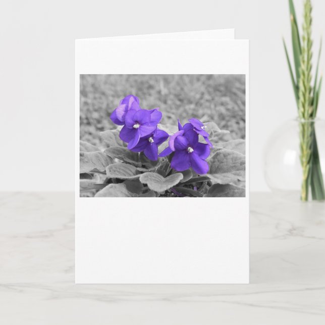 Lila Violette, Karte (Vorderseite)