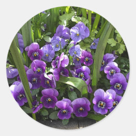 Lila Violetten Runder Aufkleber