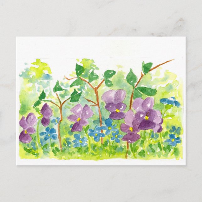 Lila Violetten Wasserfarben Blume Frühjahrsgarten Postkarte (Vorderseite)