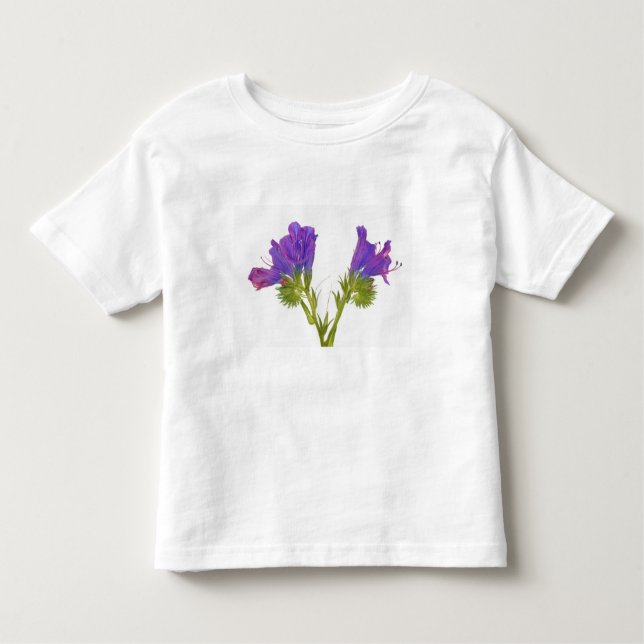 Lila Vipern Bugloss (Echium plantagineum) Kleinkind T-shirt (Vorderseite)