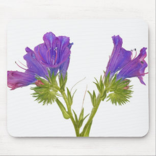 Lila Vipern Bugloss (Echium plantagineum) Mousepad