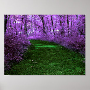 Lila Waldweg Digitales Kunstdesignplakat Poster