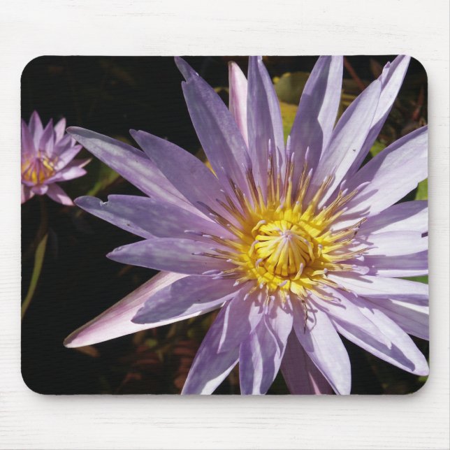 Lila Wasser-Lilie Mousepad (Vorne)