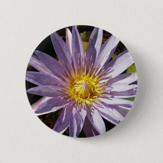 Lila Wasser-Lilien-Knopf Button