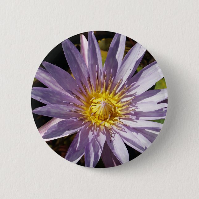 Lila Wasser-Lilien-Knopf Button (Vorderseite)