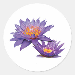 Lila Wasser-Lilien Runder Aufkleber