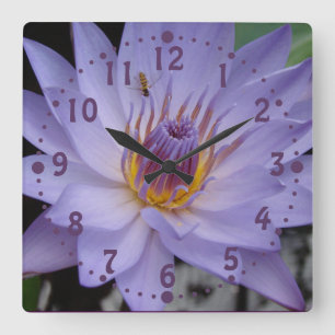 Lila Wasser-Lilien-Wand-Uhr mit Honigbiene Quadratische Wanduhr