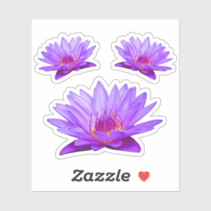 Lila Wasser Lilies Vinyl Sticker