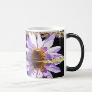 Lila Wasserlilie-Blume in der Blüte Verwandlungstasse