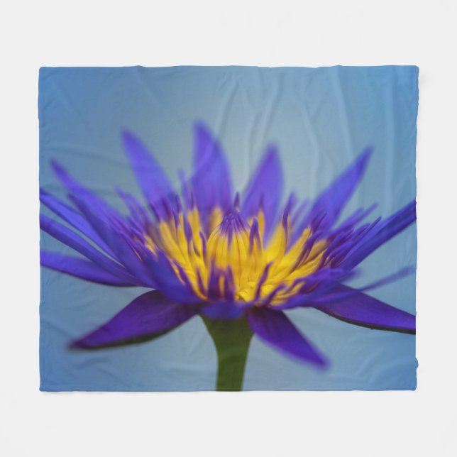 Lila Wasserlilie Fleecedecke (Vorderseite (Horizontal))