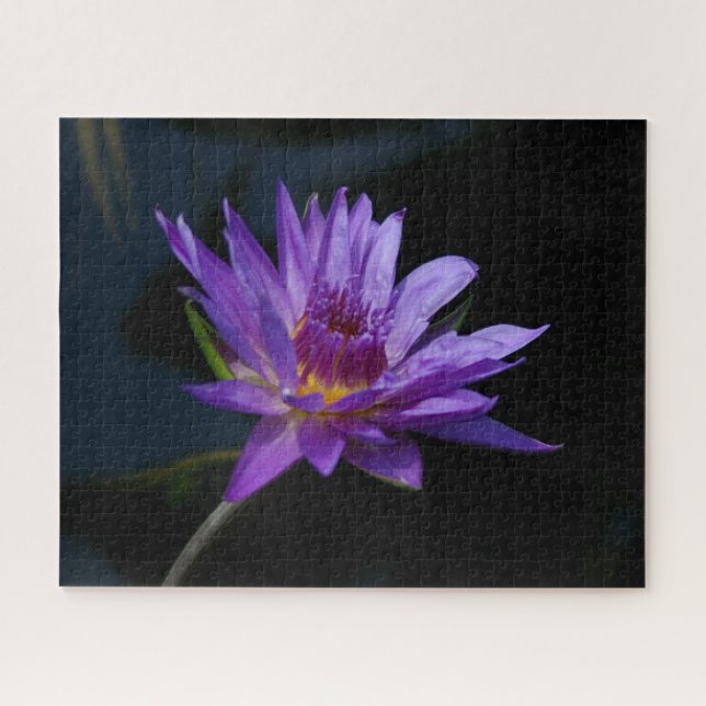 Lila Wasserlilie Jigsaw Puzzle (Horizontal)
