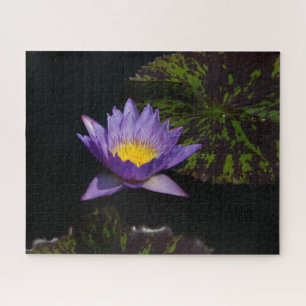 Lila Wasserlilie Jigsaw Puzzle