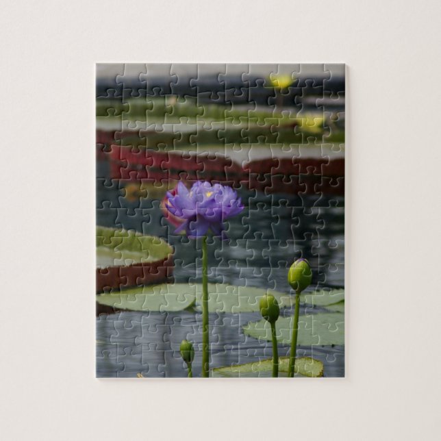 Lila Wasserlilie Puzzle (Vertikal)