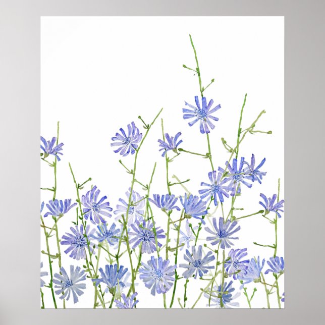 lila Wegwarte Wasserfarbe  Poster (Vorne)
