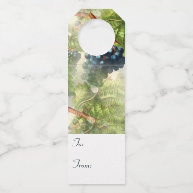 Lila Weintrauben bis zu Geschenktafeln für Weinfla Flaschenanhänger (Vorderseite)