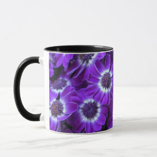 Lila Weiße Cinerarien Tasse