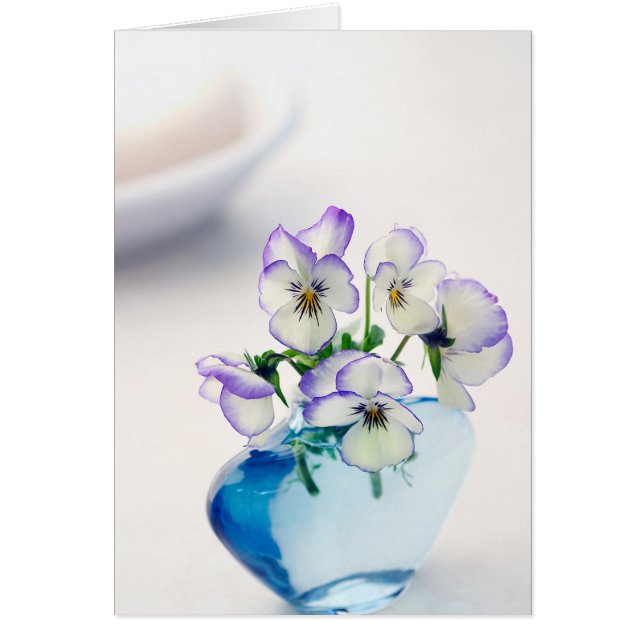 Lila weiße    ViolasBlumen Blauer Vase Floral (Vorne)