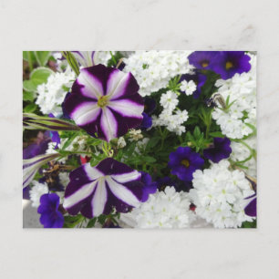 Lila White Blue Flowers DIY Postcard Postkarte