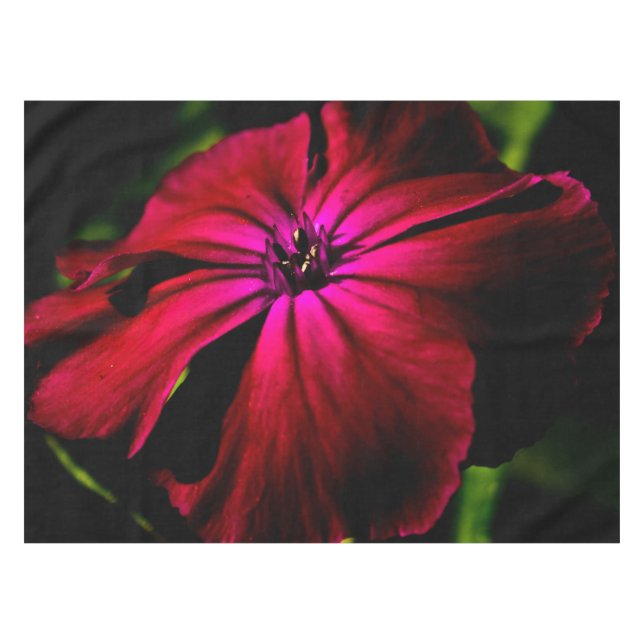 Lila Wild-Blume 50x72 tccnm Tischdecke (Vorderseite (Horizontal))