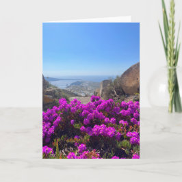 Lila wild lebende Blume Santorini Griechenland Fot Karte