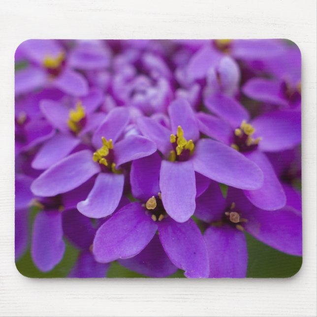 Lila Wildblume Maus-Pad Mousepad (Vorne)