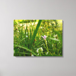 Lila Wildblumen Botanische Blumenfotografie Leinwanddruck