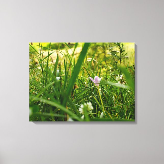 Lila Wildblumen Botanische Blumenfotografie Leinwanddruck (Vorderseite)