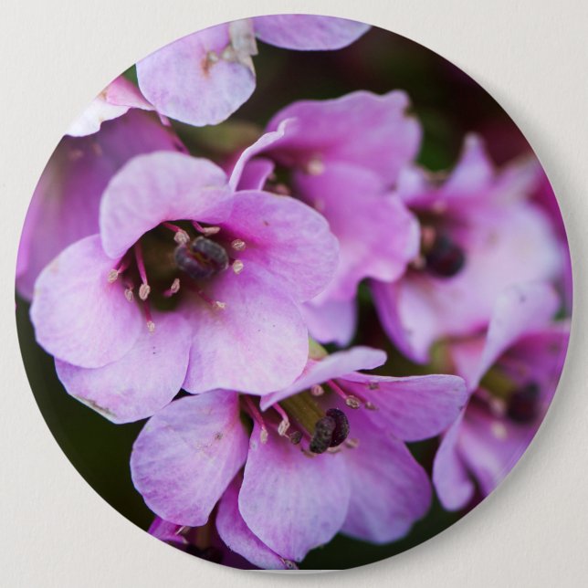 Lila Wildblumen Button (Vorderseite)