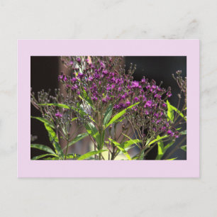 Lila Wildblumen Foto-Postkarte Feiertagspostkarte