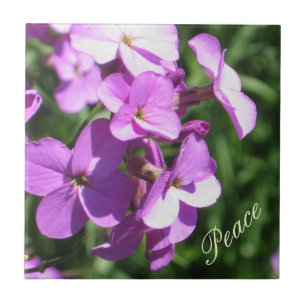 Lila Wildblumen-Frieden Fliese