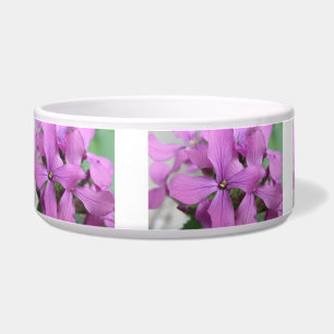 Lila Wildblumen Hundeschale Napf