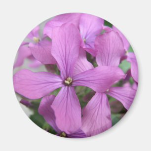 Lila Wildblumen Magnet