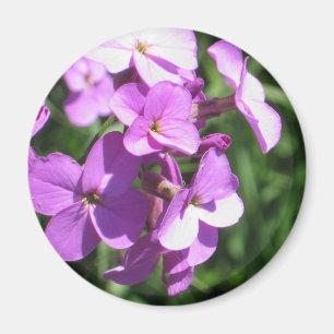 Lila Wildblumen Magnet
