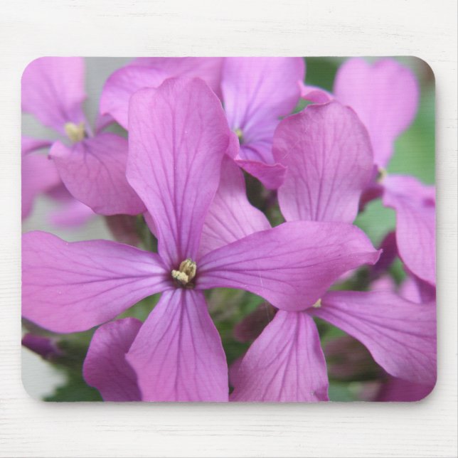 Lila Wildblumen Mousepad (Vorne)