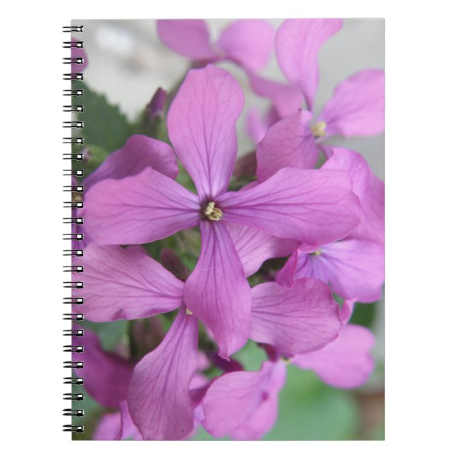 Lila Wildblumen Notizblock (Vorderseite)