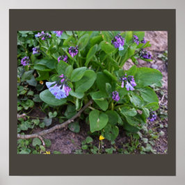 Lila Wildblumen Poster