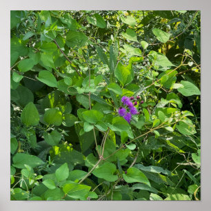 Lila Wildblumen Poster