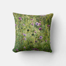 Lila wilde Blume auf einer grünen Wiese